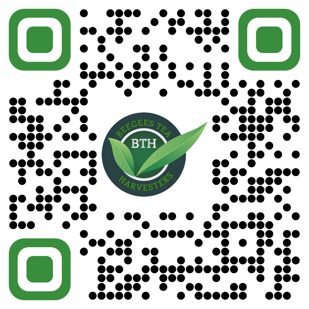 Website QR